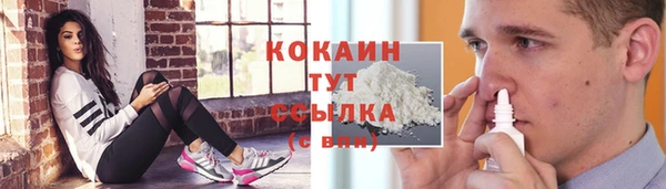 прущие грибы Куйбышев