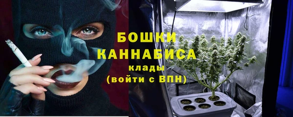 прущие грибы Куйбышев
