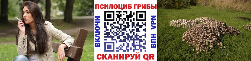 darknet состав Горячеводский Галлюциногенные грибы мицелий